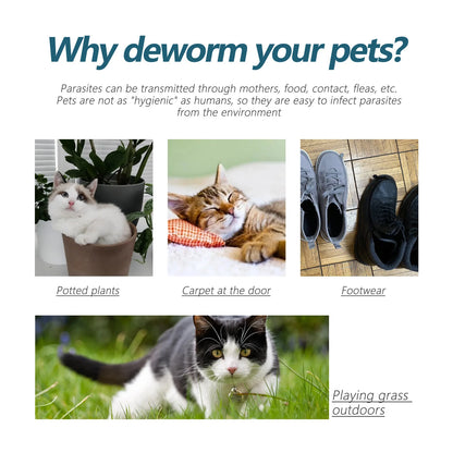 All-in-One Pet Flea and Tick Treatment Drops | Lice, Mite, and Ringworm Remover for Cats and Dogs