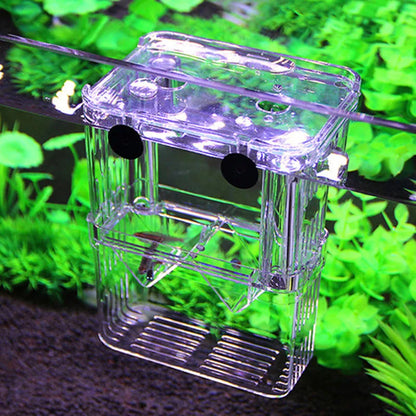 High Clear Fish Breeding Box | Multifunctional Aquarium Isolation Tank for Guppies & Fry