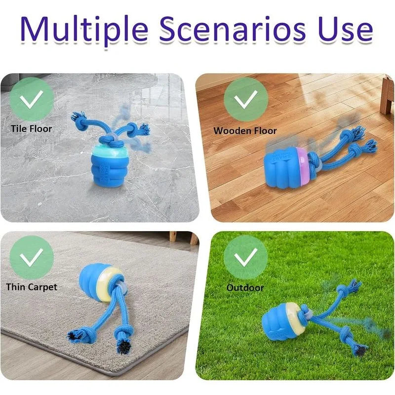 Motion Activated Interactive Dog Toy | Squeaky Rolling Ball for Daily Training & Active Play