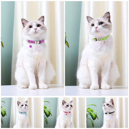 Personalized Reflective Nylon Cat Collar with Bell | Free Engraving for Small Dogs and Cats - 10 Colors Available