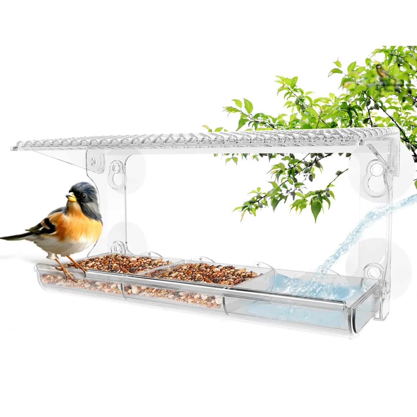 Clear Window Viewing Bird Feeder | Outdoor Transparent Bird House for Wild Bird Watching & Garden Decor