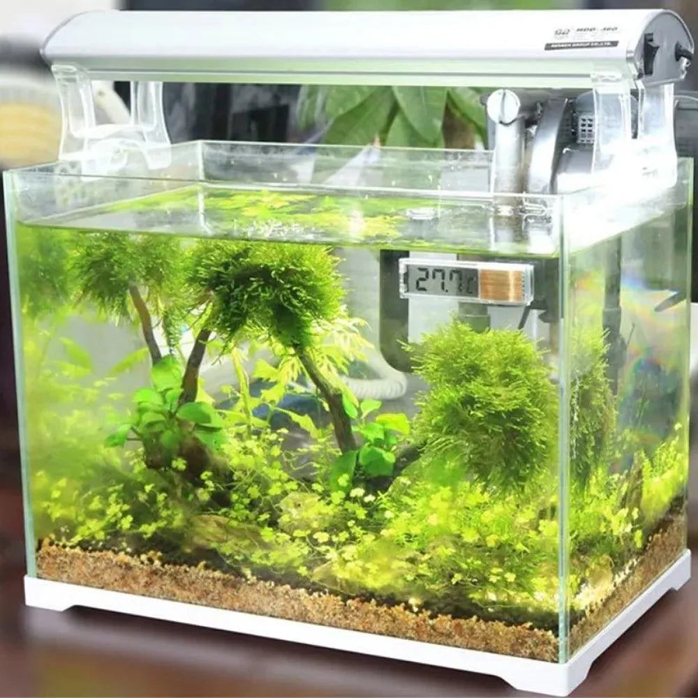 Electronic LCD Digital Aquarium Thermometer | Fish Tank Temperature Measurement Meter