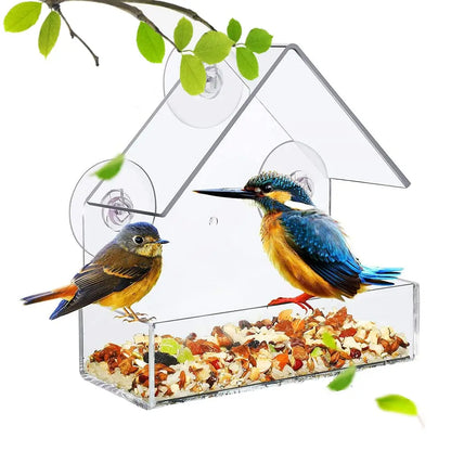 Transparent Window Wild Bird Feeder House | Removable Suction Cups & Sliding Feed Tray for Garden, Patio, and Yard