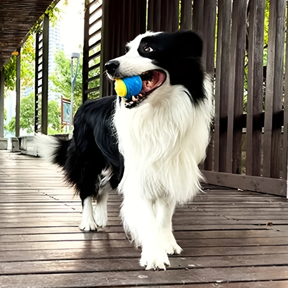 Durable Crew Ball Dog Toy | Interactive Chew Toy for Grinding Teeth - Perfect for Dogs