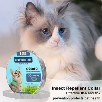 Luminous Flea and Tick Collar | Adjustable Pet Collar with Up to 8 Months Protection for Dogs and Cats