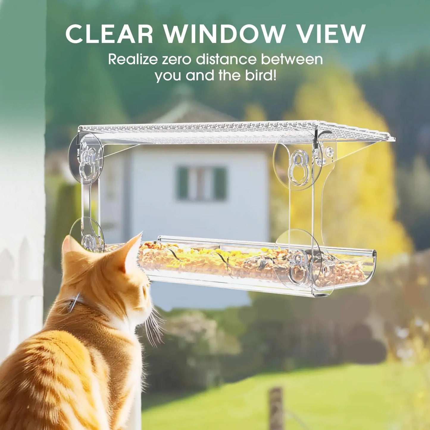 Clear Window Viewing Bird Feeder | Outdoor Transparent Bird House for Wild Bird Watching & Garden Decor