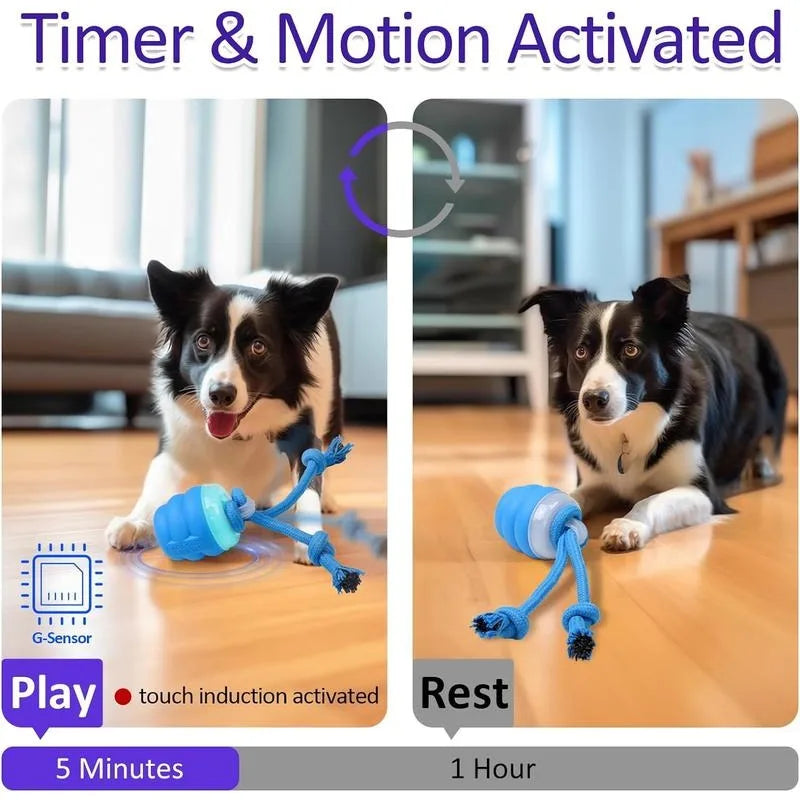 Motion Activated Interactive Dog Toy | Squeaky Rolling Ball for Daily Training & Active Play