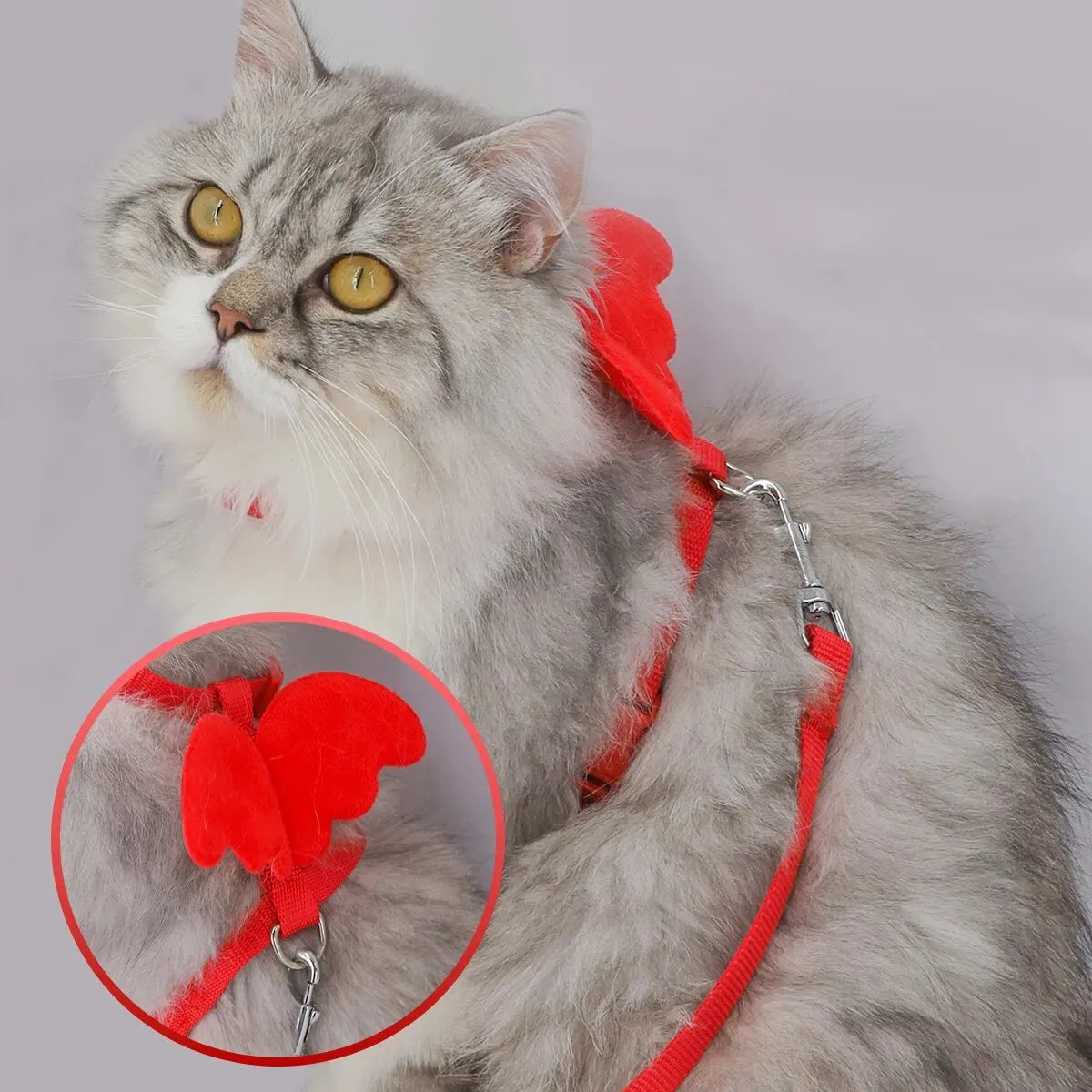 Wings Pet Harness and Handle Set | Adjustable Harness for Cats and Small Dogs