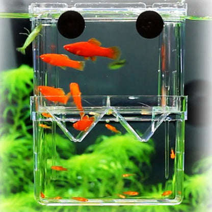 High Clear Fish Breeding Box | Multifunctional Aquarium Isolation Tank for Guppies & Fry
