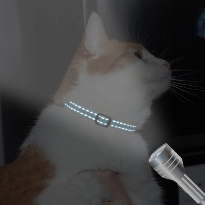 Personalized Reflective Nylon Cat Collar with Bell | Free Engraving for Small Dogs and Cats - 10 Colors Available