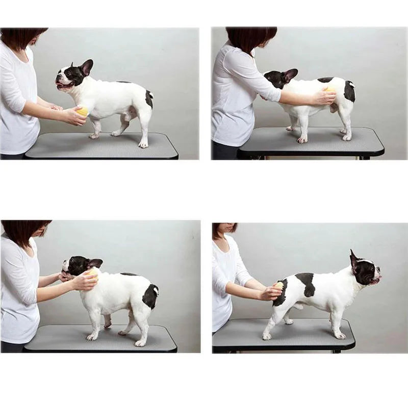 Pet Massage Brush Combs for Dogs and Cats | Soft Silicone Bristles for Gentle Hair Removal and Cleaning