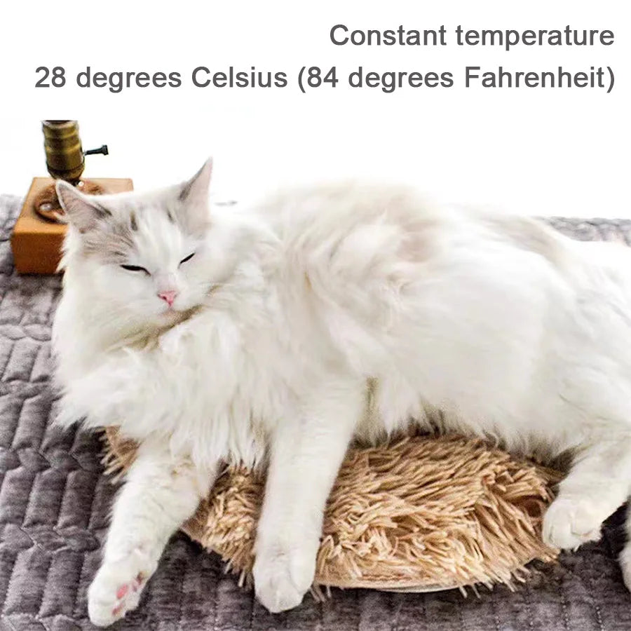 USB Pet Electric Blanket | Heating Pad for Dogs & Cats | Constant Temperature Small Heater