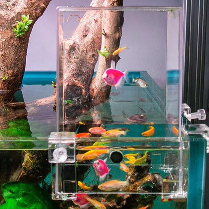 Clear Aerial Aquarium Extender | Negative Pressure Fish Tank with Ecological Landscaping Decoration